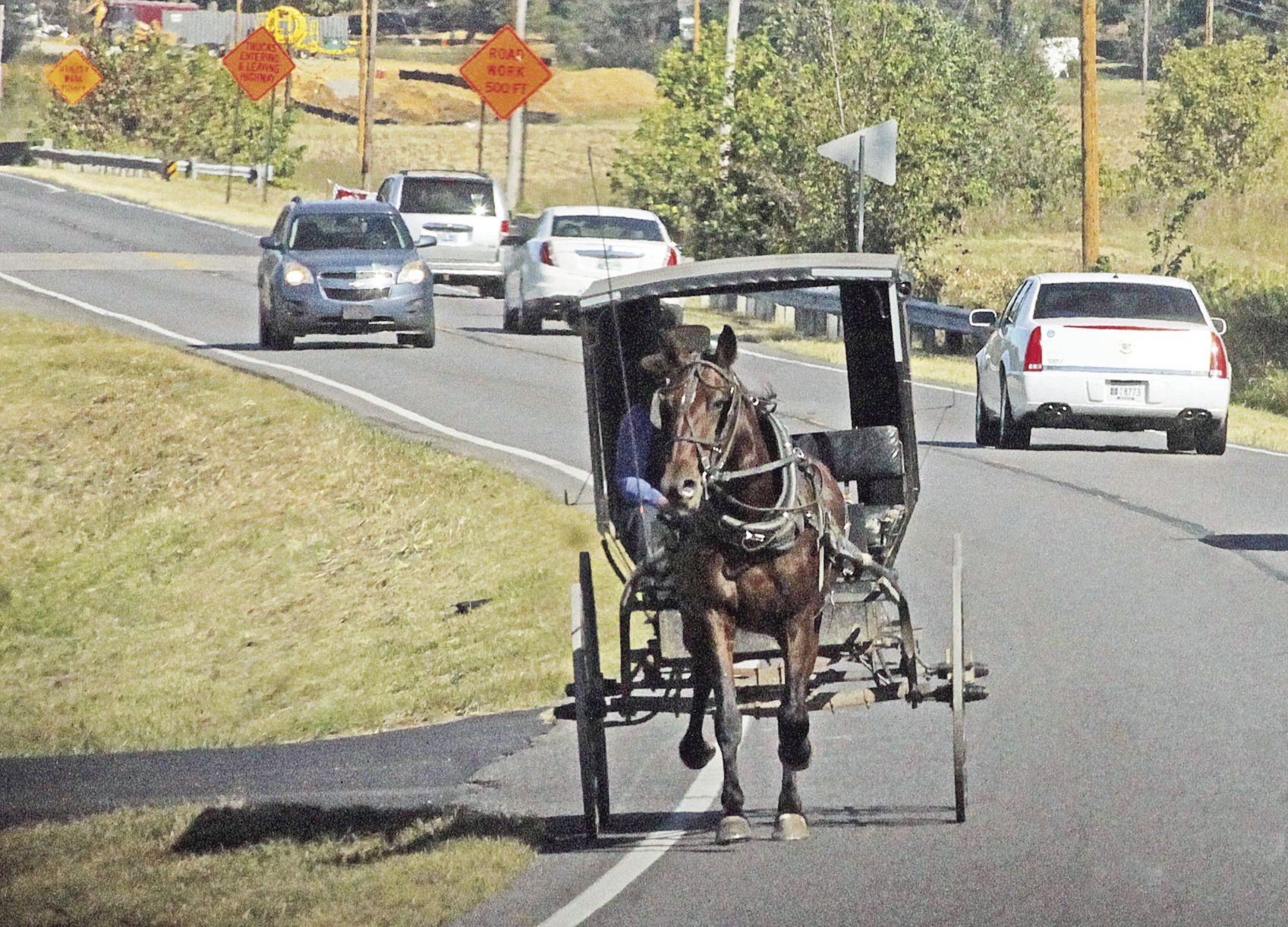 Amish buggy